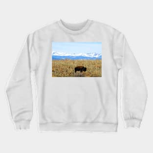 Buffalo and the Rocky Mountains Crewneck Sweatshirt